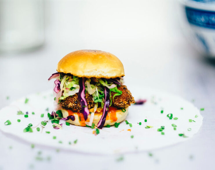 10 Homemade Buger Recipe – Quick n Easy Buger Recipe To Make At Home